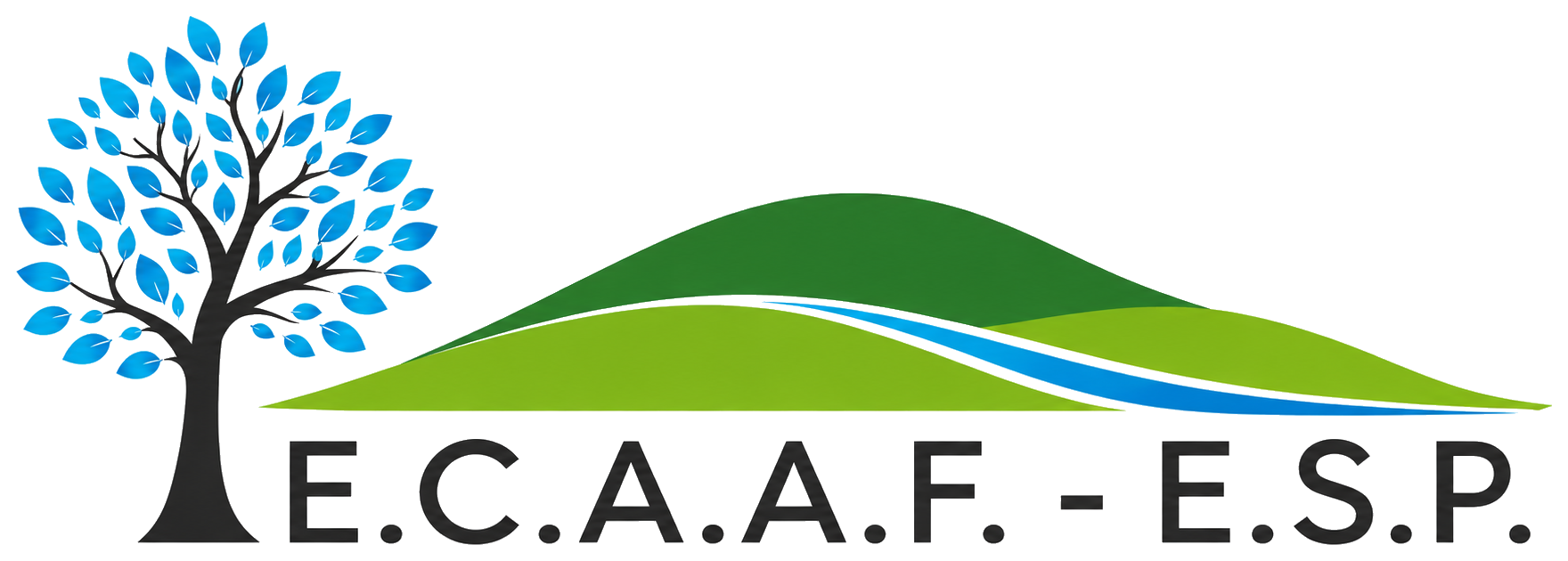 E.C.A.A.F. E.S.P.