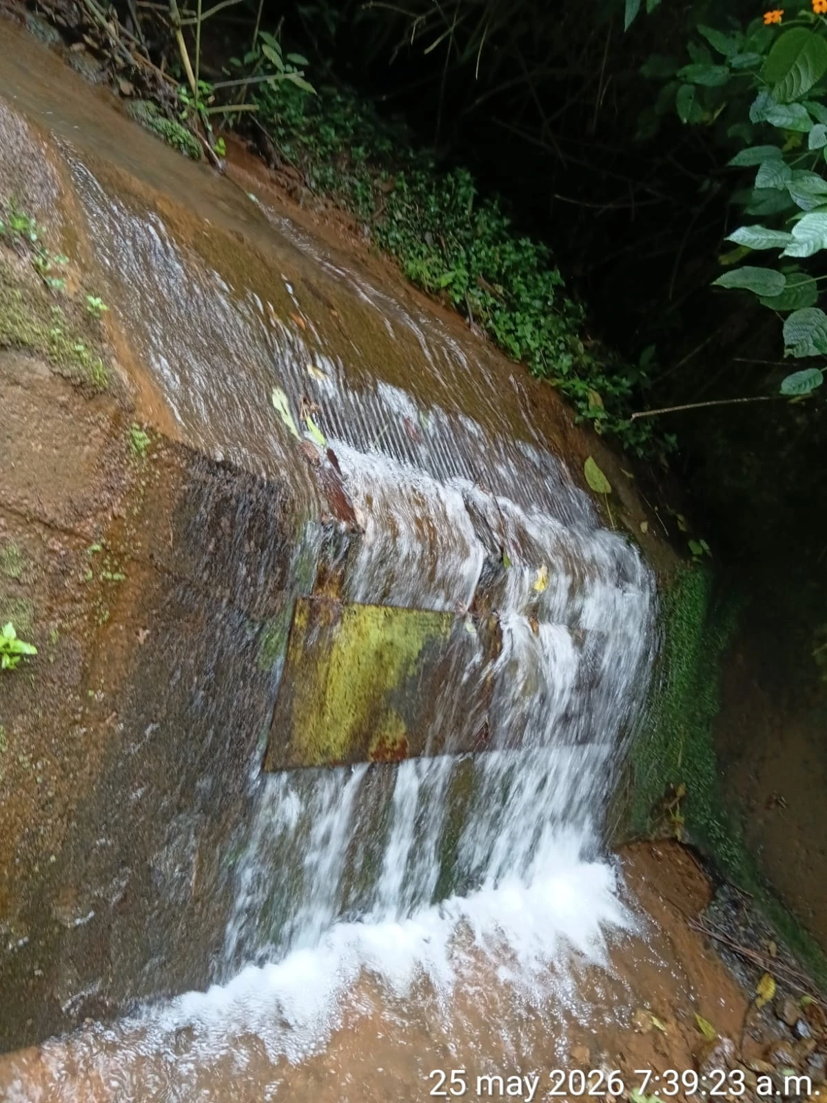 Calidad del agua