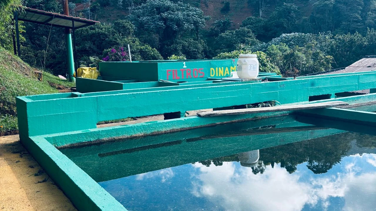 Planta de Tratamiento de Agua Potable (PTAP) — E.C.A.A.F. E.S.P.